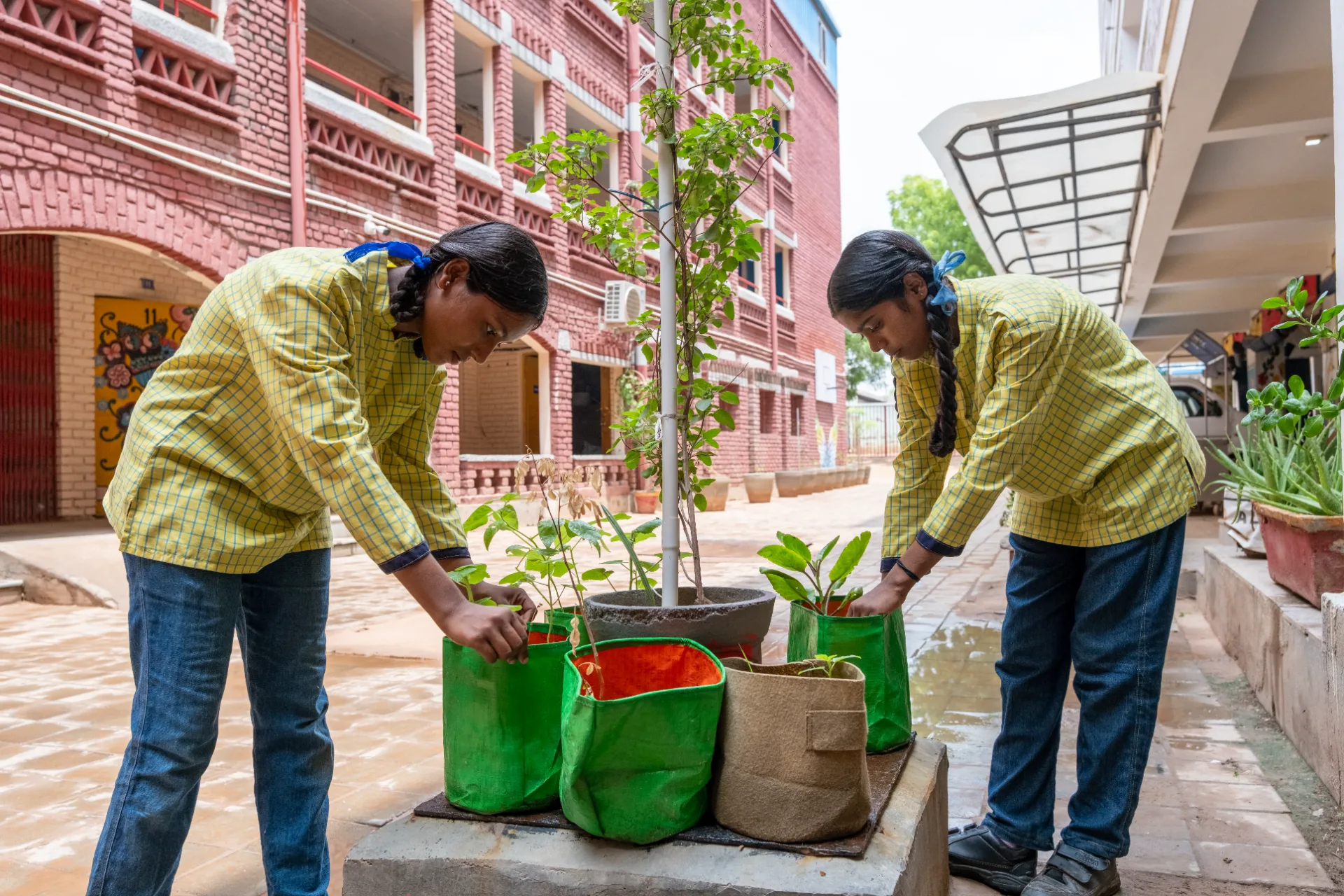 Environmental Initiatives